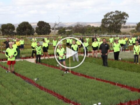 Episode 3 Plantrite team