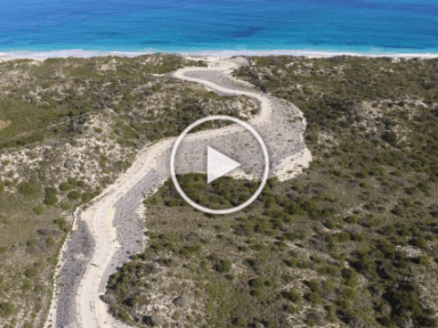 Episode 1 Plantrite Dune Revegetation