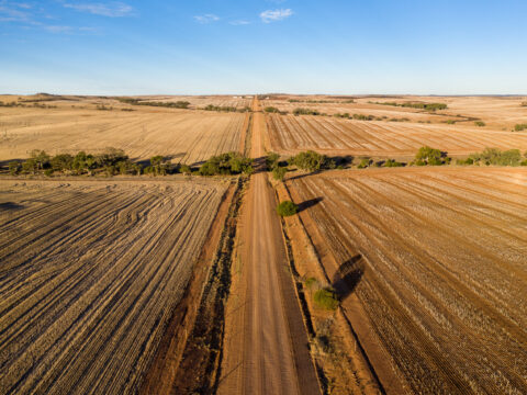 aerial view wheat fields