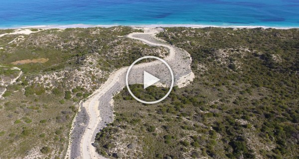 Plantrite Dune Revegetation